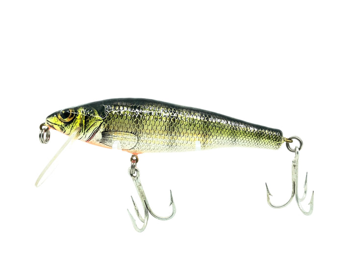 Bagley Small Fry Perch P4, Perch on White Color