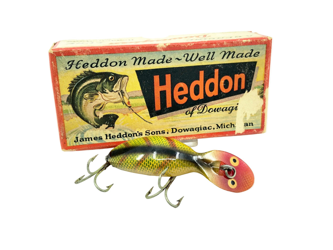 Heddon Tadpolly Spook, L Perch Color w/Box - Older Gold Eyes