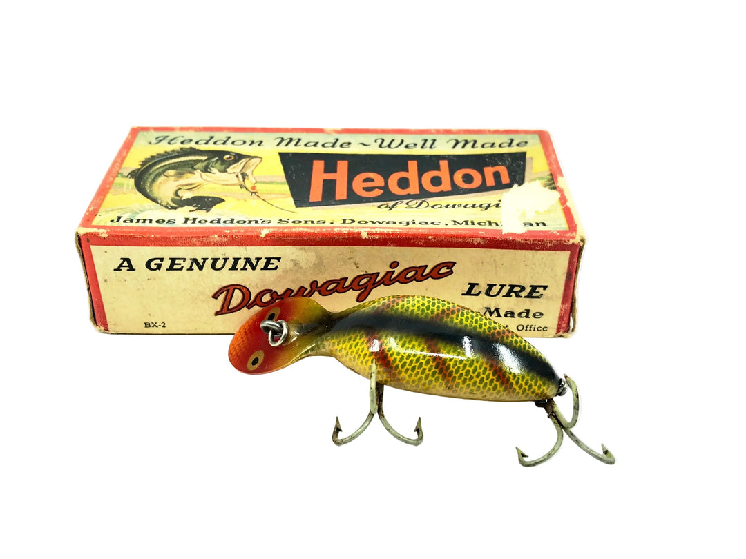 Heddon Tadpolly Spook, L Perch Color w/Box - Older Gold Eyes