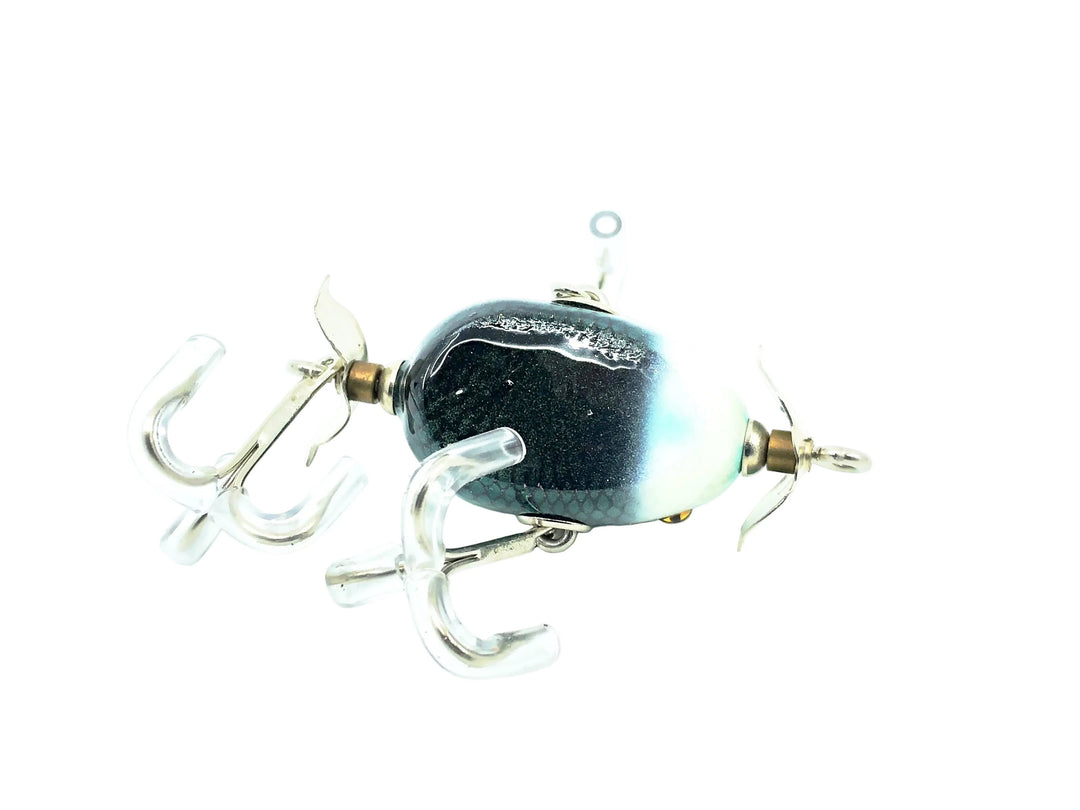 Musky Dan (XXX Lures) Kent Frog, White Head/Blue Scale Color w/COA