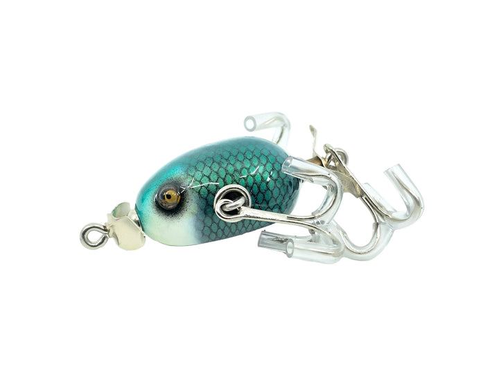 Musky Dan (XXX Lures) Kent Frog, White Head/Blue Scale Color w/COA