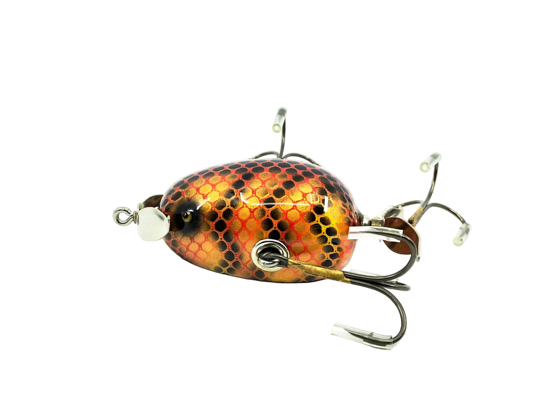 Musky Dan (XXX Lures) Kent Frog, Perch Scale Color w/COA