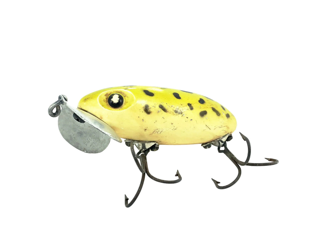 Arbogast Jitterbug 5/8oz, #06 Frog/White Belly Color, Vintage Bugged-E ...