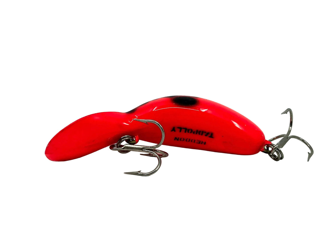 Heddon Tadpolly Spook, #63? Red Dog Polly Color - Unknown Color!