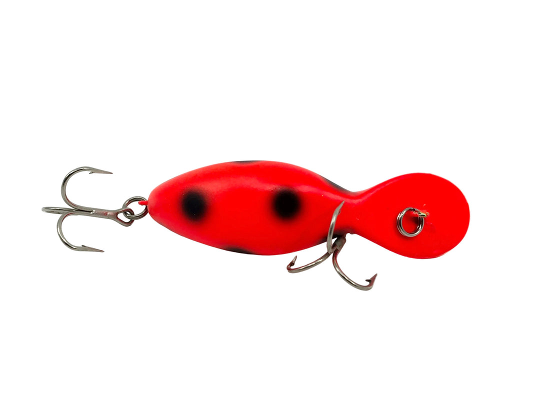 Heddon Tadpolly Spook, RFB Fluorescent Black Spot Color