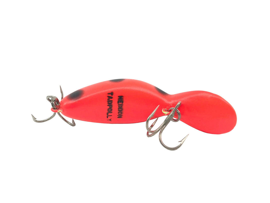Heddon Tadpolly Spook, RFB Fluorescent Black Spot Color