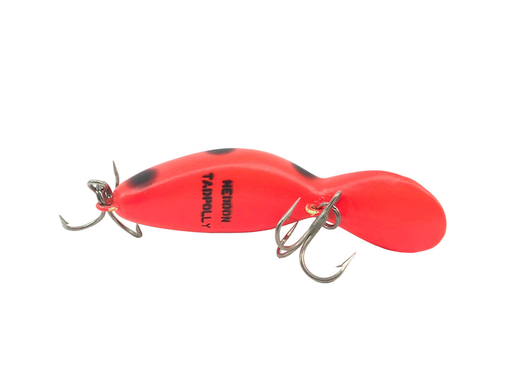 Heddon Tadpolly Spook, RFB Fluorescent Black Spot Color