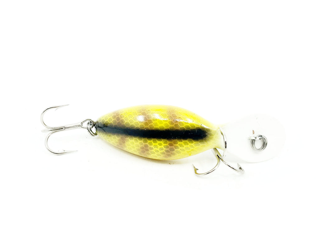 Heddon Tadpolly Spook, L Perch (White Belly) Color