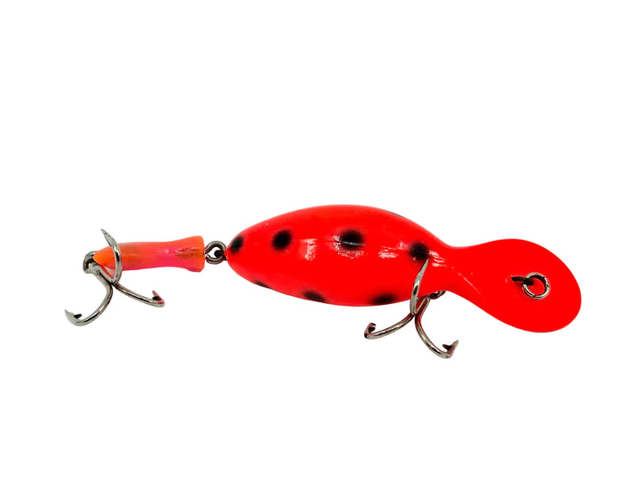 Heddon Jointed Tadpolly, RFB Fluorescent Black Spot Color
