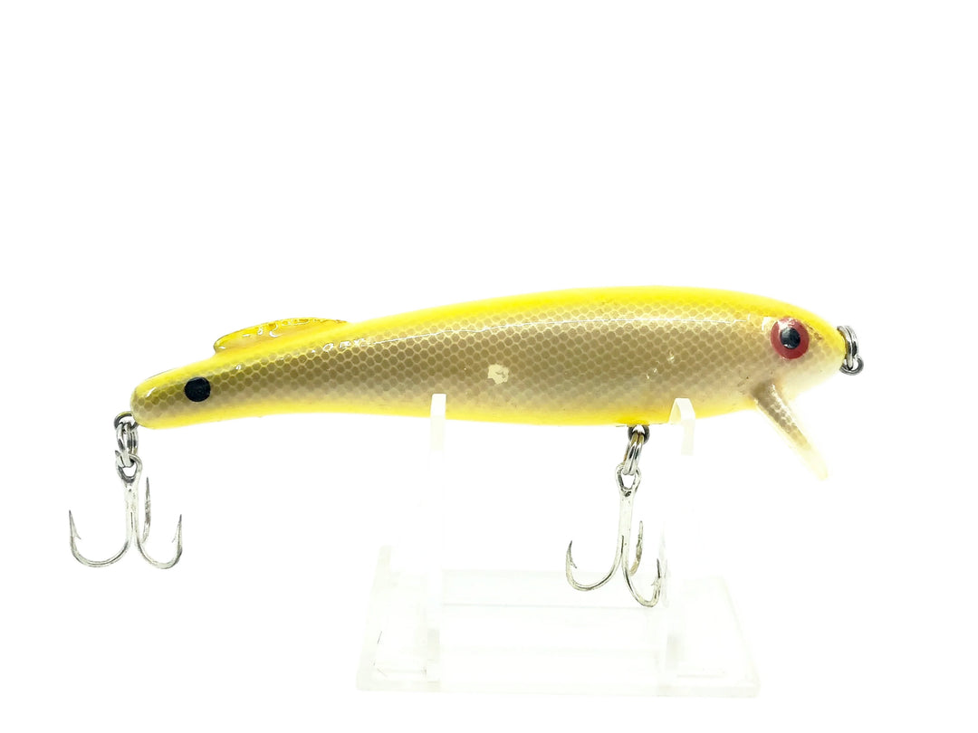 Unknown Minnow Silver Scale/Yellow Color