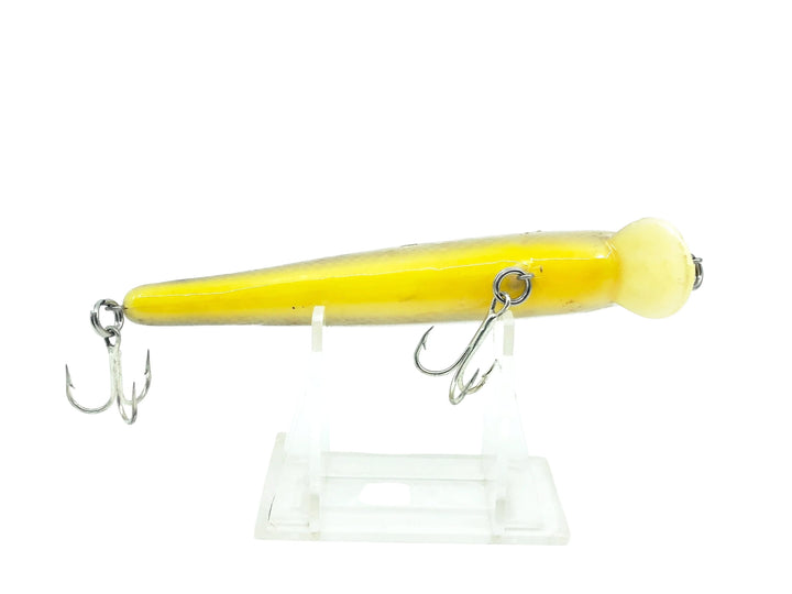 Unknown Minnow Silver Scale/Yellow Color