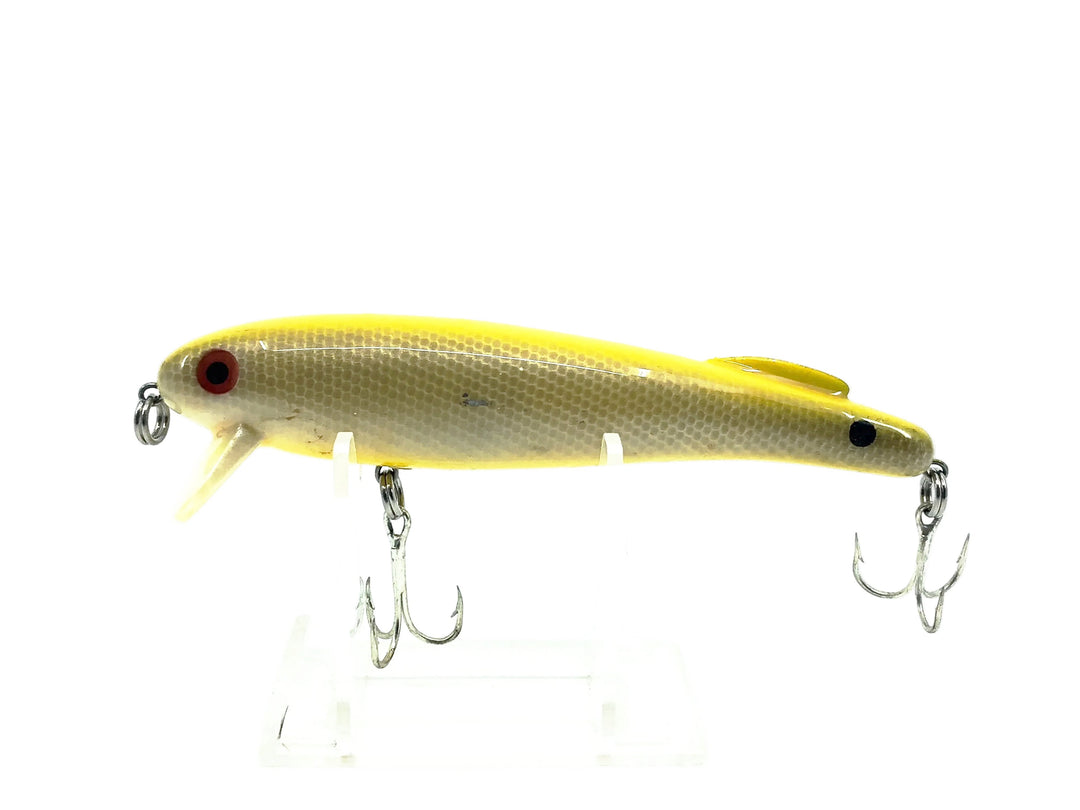 Unknown Minnow Silver Scale/Yellow Color