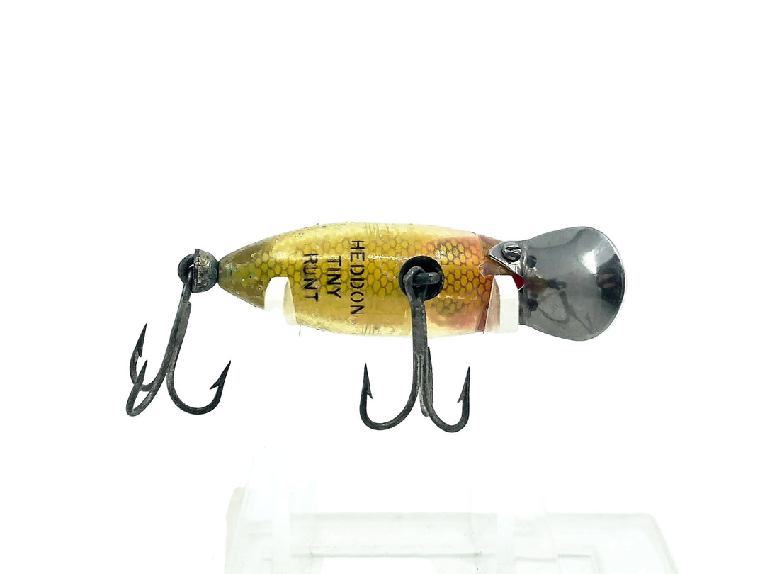 Heddon Tiny River Runt 350 L Perch Color