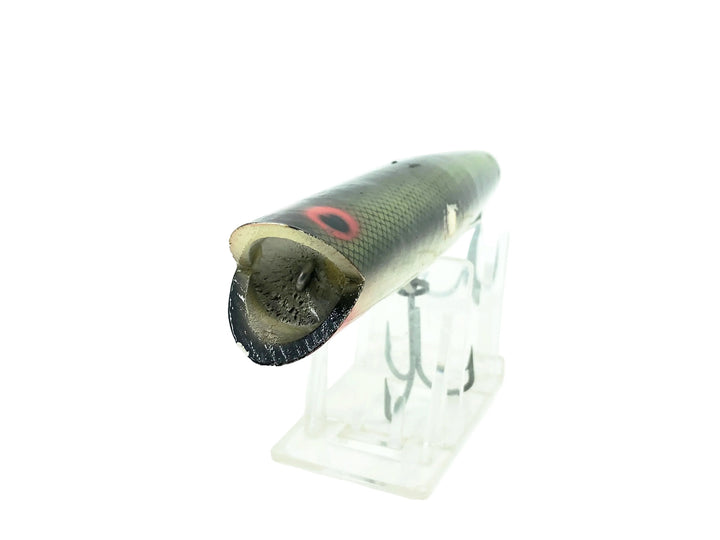 Poe's Hullabaloo Green Scale/Black Back Color