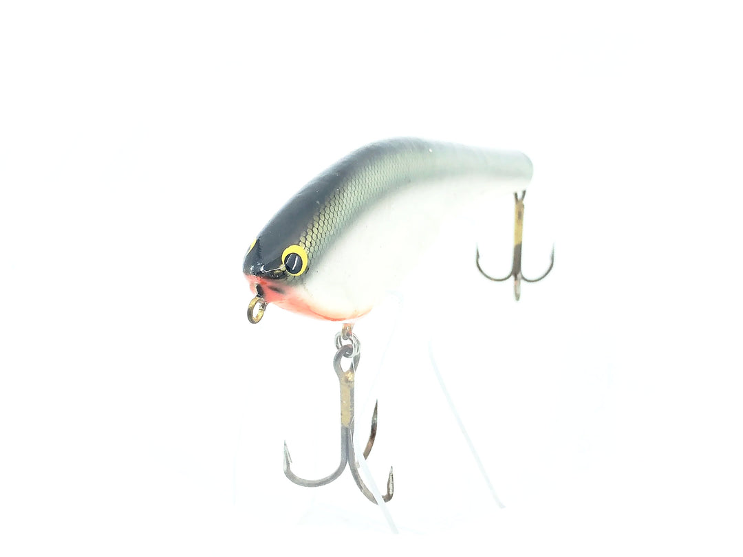 Bagley B-Flat 8 BF8-TS Tennessee Shad Color