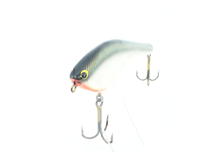 Bagley B-Flat 8 BF8-TS Tennessee Shad Color