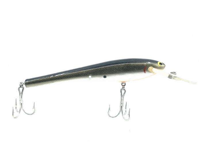 Bagley DB08, TSD Tennessee Shad Color