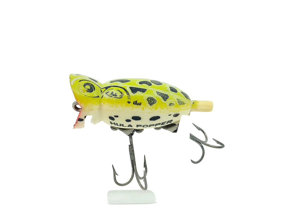 Arbogast Hula Popper 3/8oz, Seein's Believin Leopard Frog Color - Side Stencil