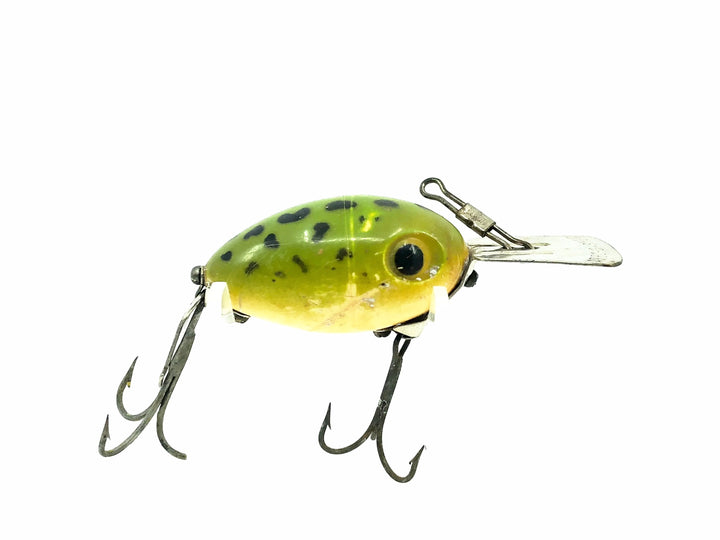 Arbogast Arbo-Gaster, Frog/White Belly Color