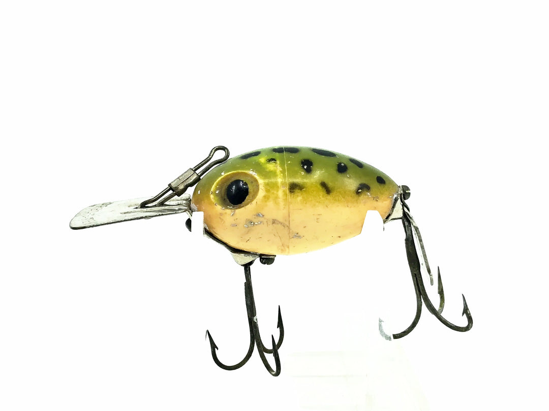 Arbogast Arbo-Gaster, Frog/White Belly Color