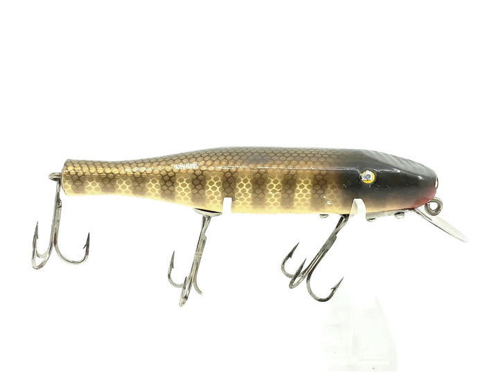 Arnold/Paw Paw Pikie, Pike Color