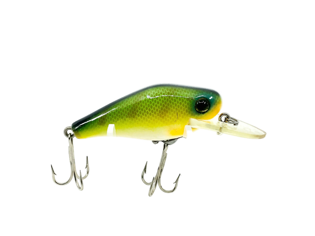 Heddon Timber Rattler X100, Perch Color