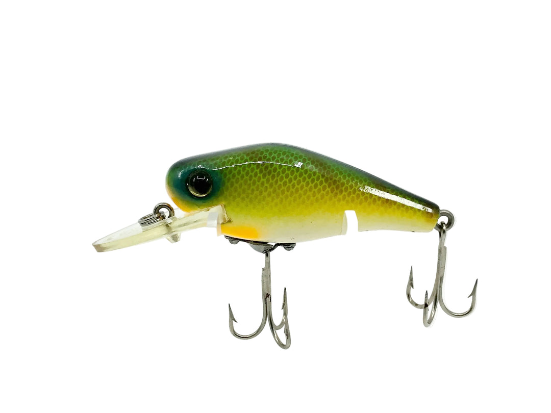 Heddon Timber Rattler X100, Perch Color