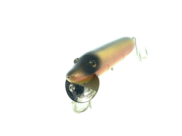 Heddon Vamp, Repaint Gold Shiner Scale Color