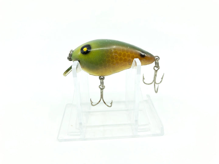 Roger's Big Jim Yellow Scale Green Head and Back Color