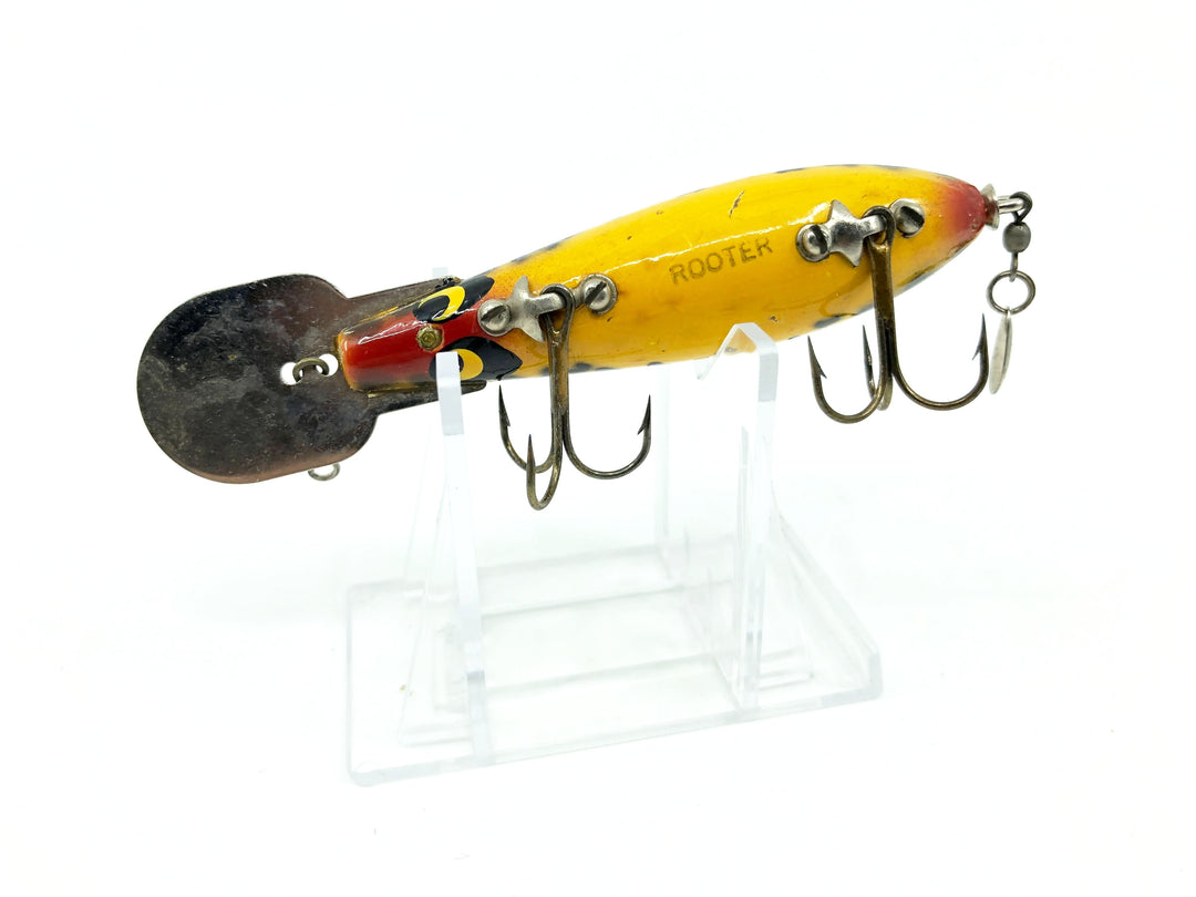 Dog Rooter Smithwick Rooter in Yellow Coach Dog Color – My Bait Shop, LLC