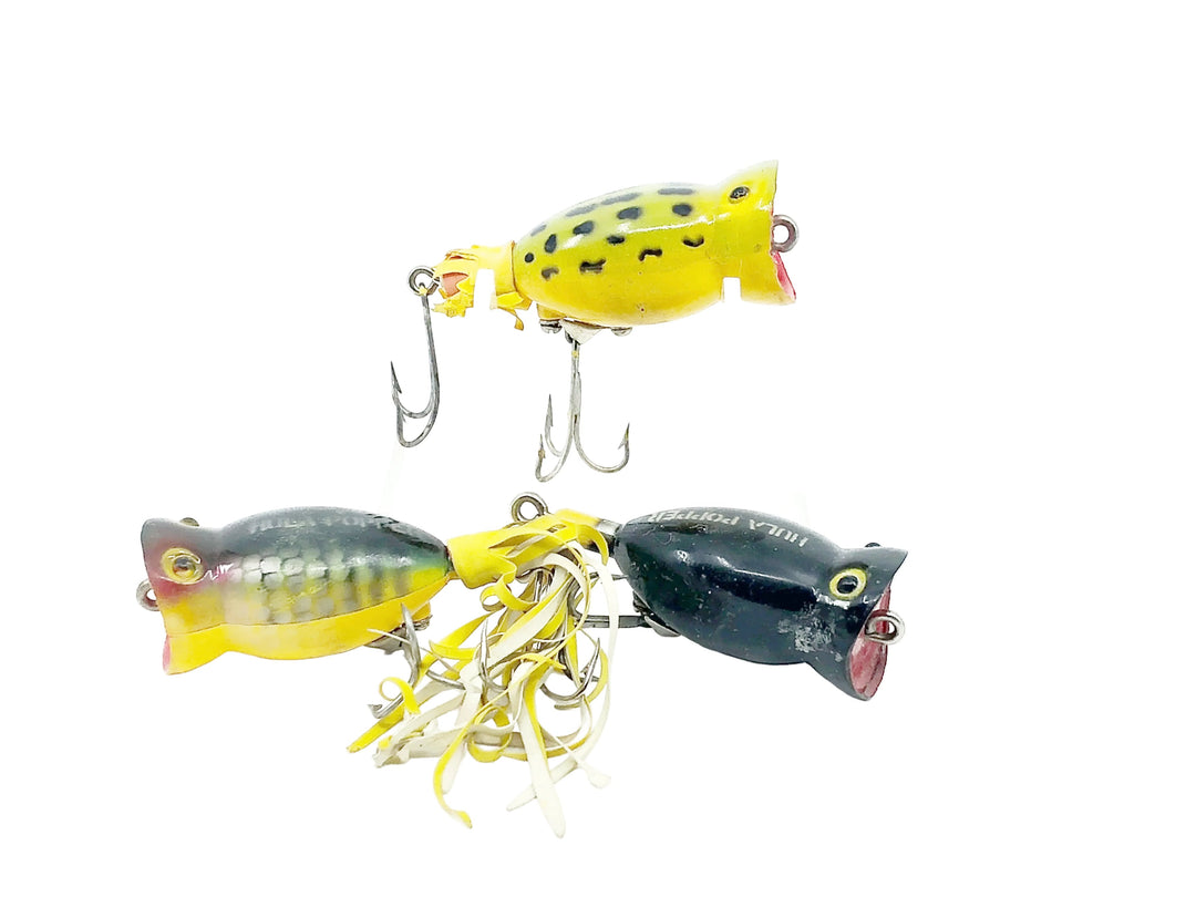 Arbogast Hula Popper Three Pack
