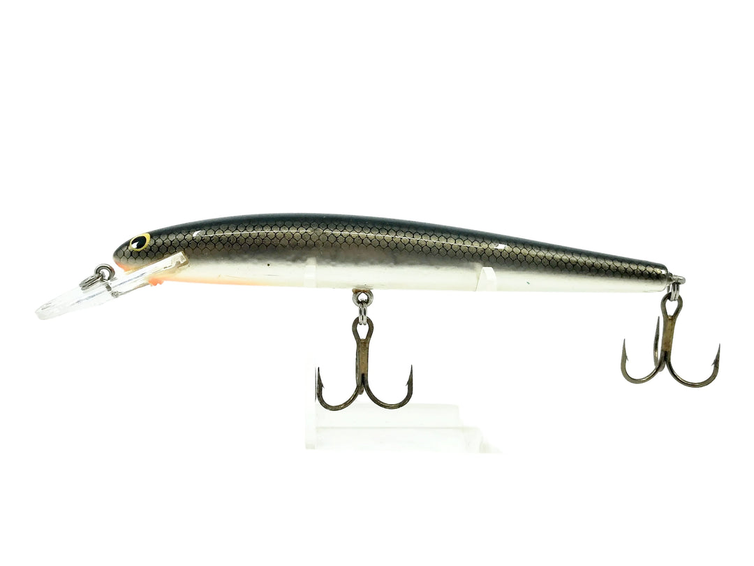 BBagley Diving Bang O Lure D5-TS, Tennessee Shad Color - Winter Haven, Very Good Condition!