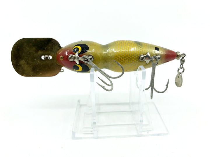 Smithwick Rooter in Perch Color - Gold Lip