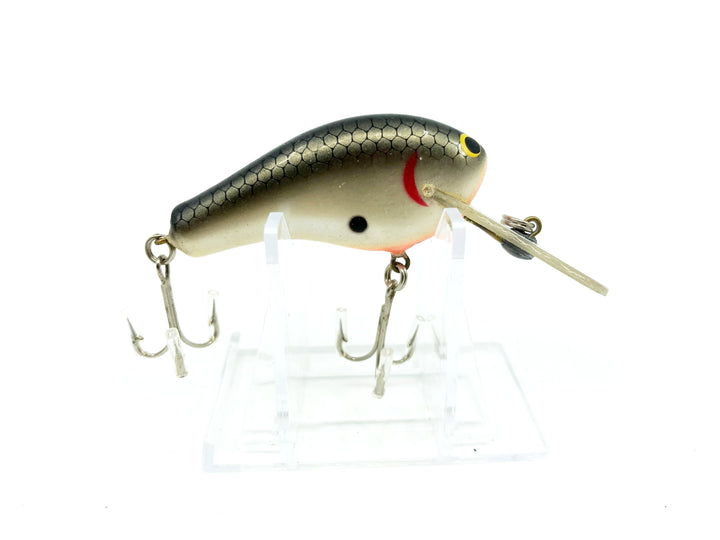 Bagley Balsa Diving B-Flat 2 DBF2-TS Tennessee Shad Color