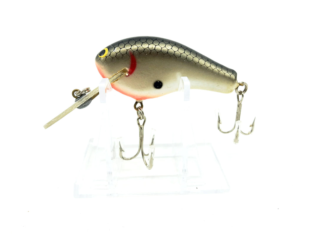 Bagley Balsa Diving B-Flat 2 DBF2-TS Tennessee Shad Color