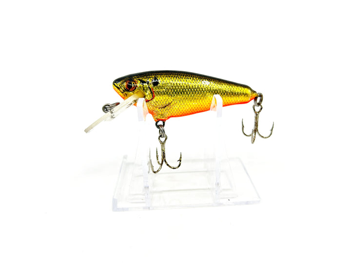 Bagley Small Fry Shad - Vintage Bait - Gold Foil Black Back Orange Belly