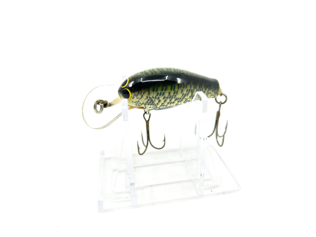 Vintage Bagley Diving Killer Balsa 1 DKB1-TLC True Life Crappie Color
