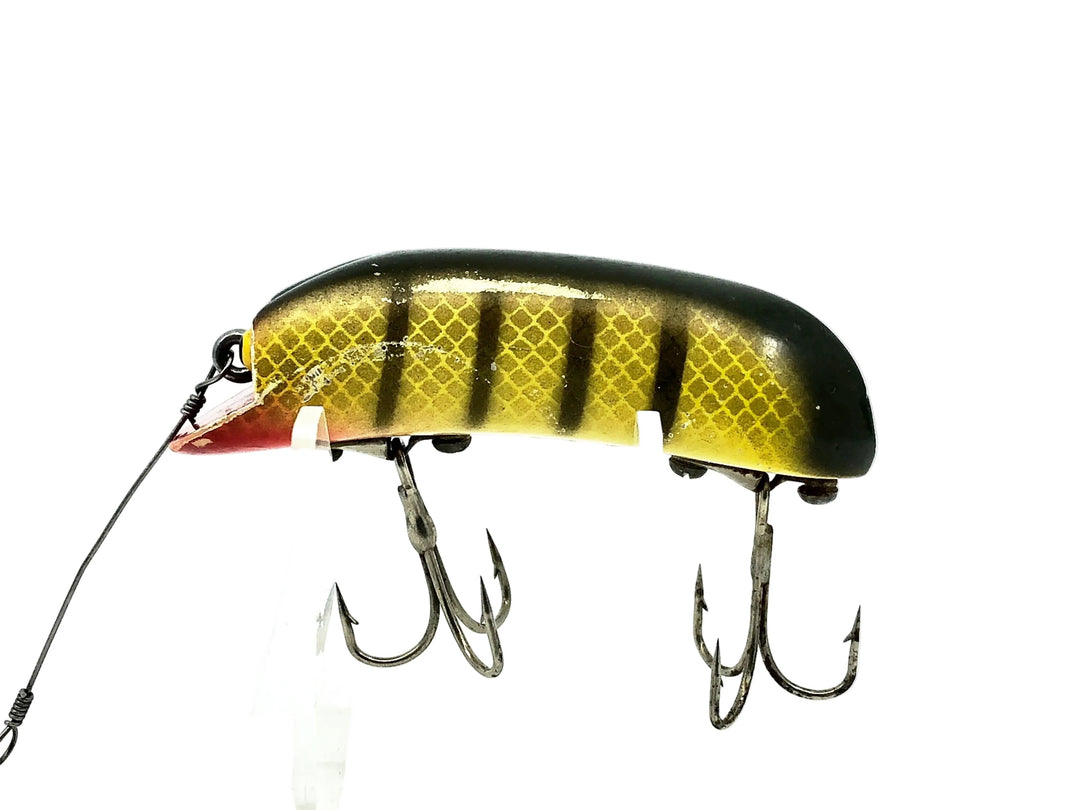 P & K Bright Eyes, Yellow Perch Color