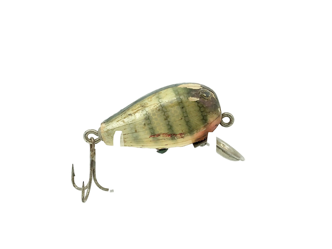 HICO Punkinseed, Pike Color
