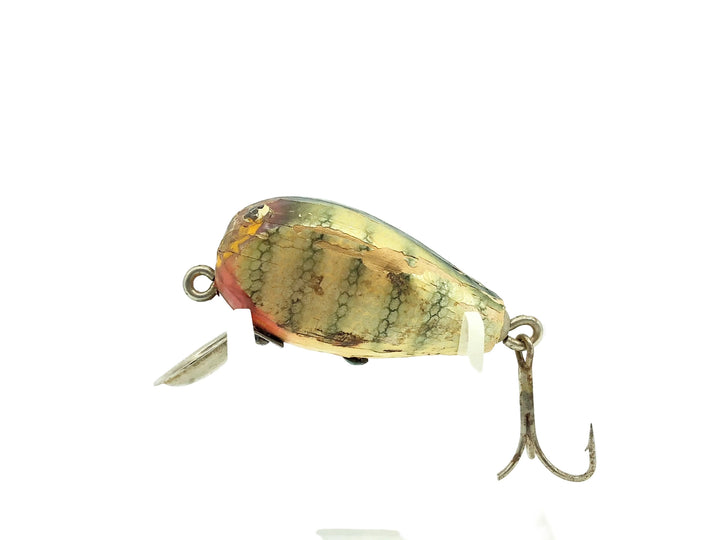 HICO Punkinseed, Pike Color