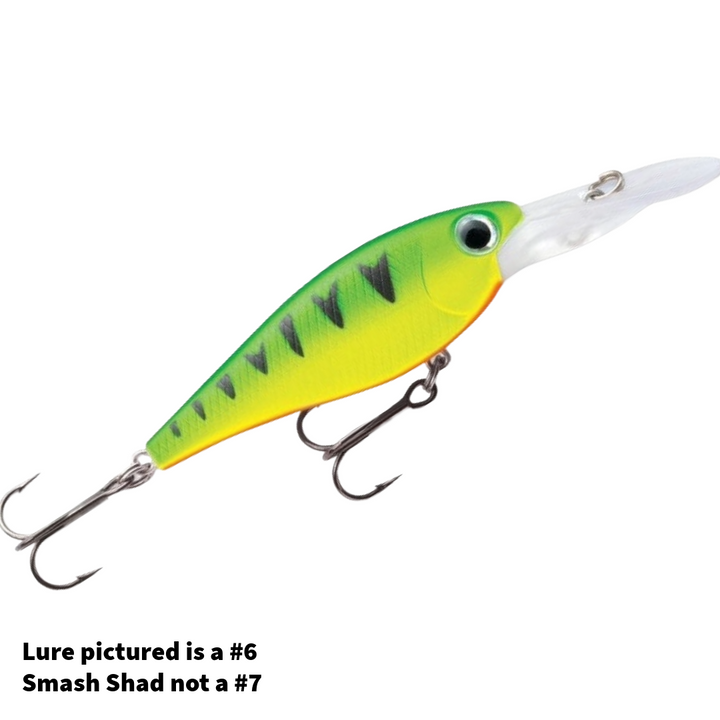Storm Smash Shad 7, Hot Perch Color w/Box