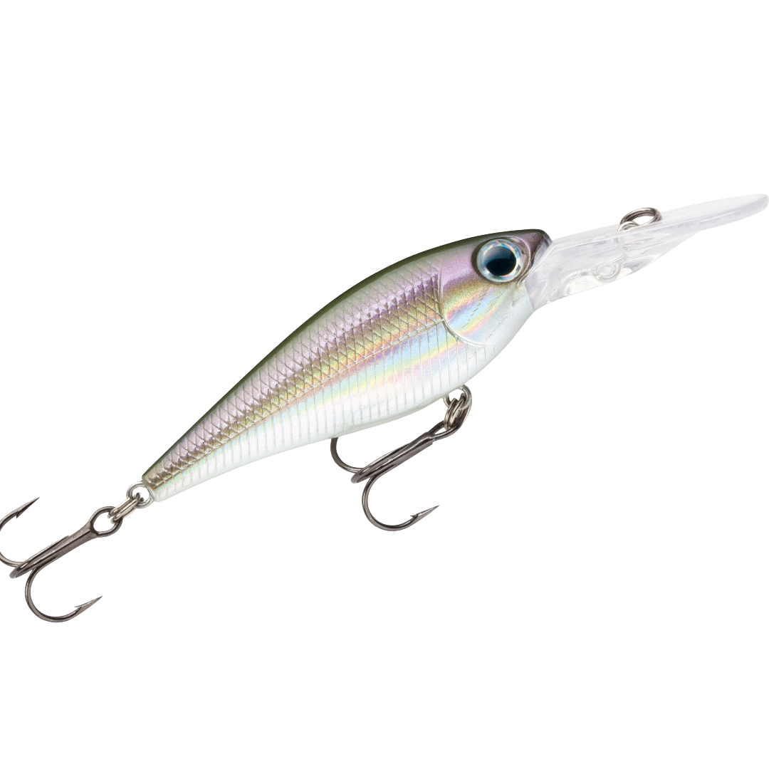 Storm Smash Shad 7, Rainbow Smelt Color w/Box