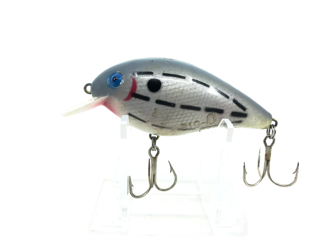 Cordell Big-O 8000 Big-O Color 18 Bar Fish