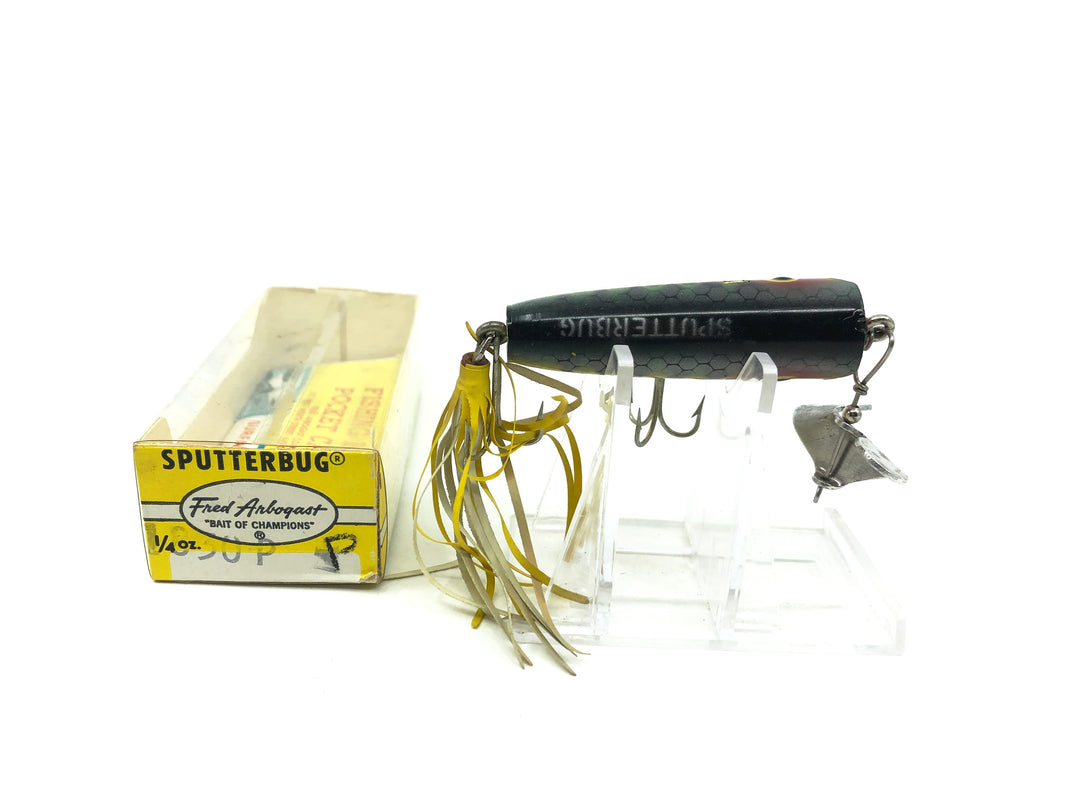 Arbogast Sputterbug, P Perch Color with Box