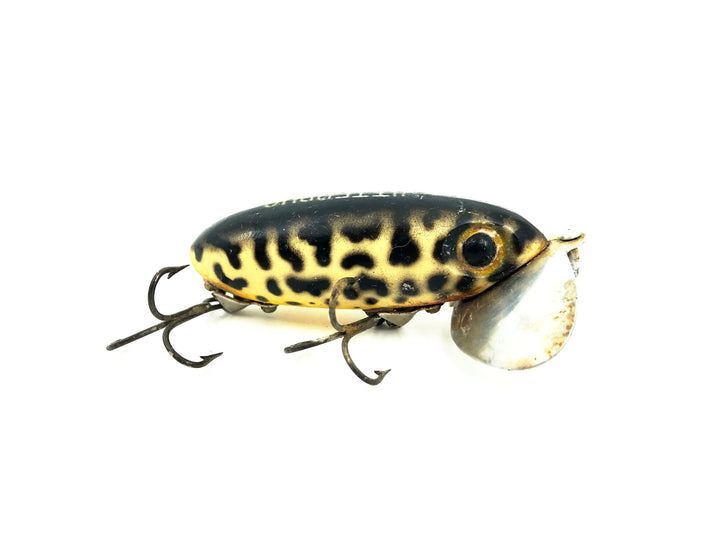 Arbogast Jitterbug Coachdog Color, Vintage Bugged-Eyed Model
