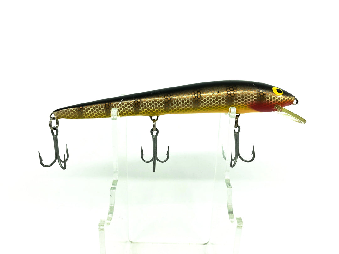 Nils Master, Black Ribs/Gold Scales Color