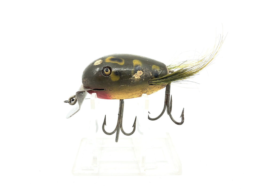 Creek Chub 5100 Dingbat, #19 Frog Color