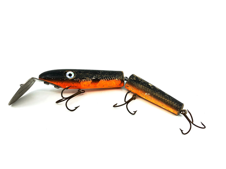 Rizzo Diver, Orange/ Brown Scale & Back Color