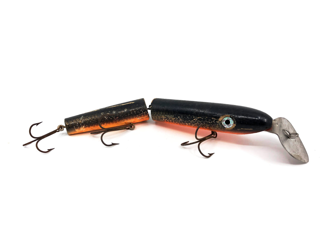 Rizzo Diver, Orange/ Brown Scale & Back Color