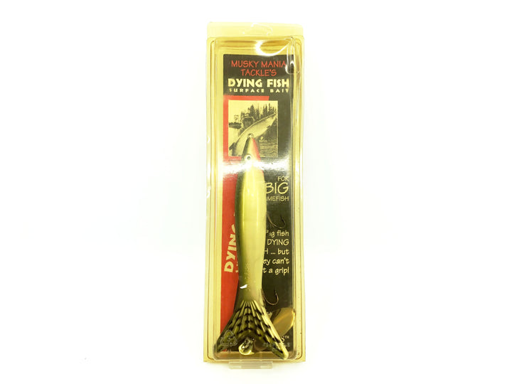 Musky Mania Dying Fish Surface Bait, Tennessee Shad Color with Box